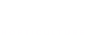 PIPP